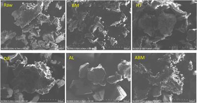 Production of optical pure L-lactic acid from Cabernet Sauvignon grape pomace by engineered Lactiplantibacillus plantarum